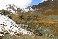 IMG_0083