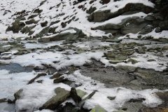IMG_0090