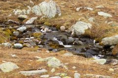 IMG_0100