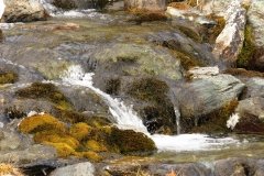 IMG_0105