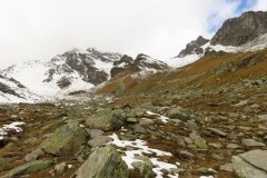 IMG_0117