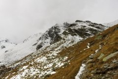 IMG_0138