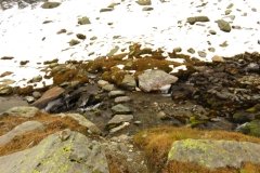 IMG_0163