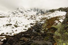 IMG_0166