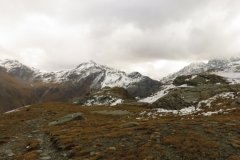 IMG_0178