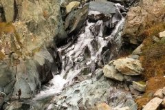 IMG_0211