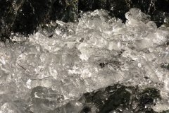IMG_0227