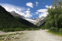 IMG_0003