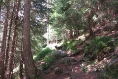 IMG_0005