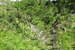 IMG_0007