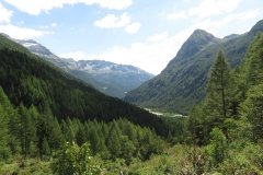 IMG_0008