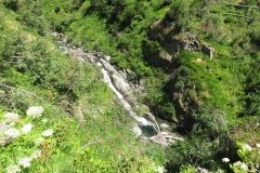 IMG_0011