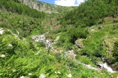 IMG_0013