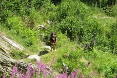 IMG_0026