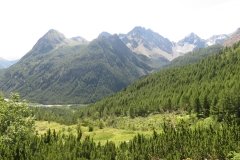 IMG_0028