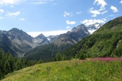 IMG_0044