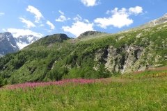 IMG_0053