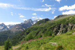 IMG_0054