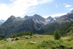 IMG_0056