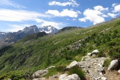 IMG_0060