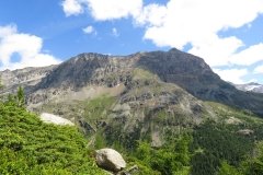 IMG_0069