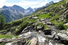 IMG_0073