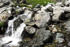 IMG_0076