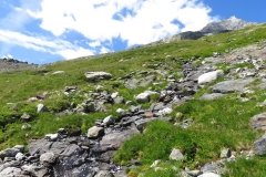 IMG_0079