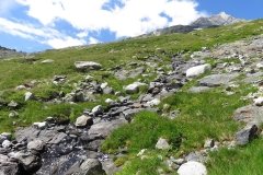 IMG_0081