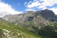 IMG_0083