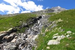 IMG_0087