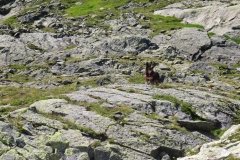 IMG_0102