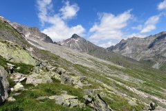 IMG_0127
