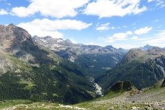 IMG_0141