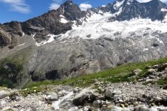 IMG_0247