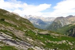 IMG_0266