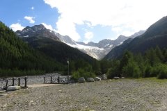 IMG_0368