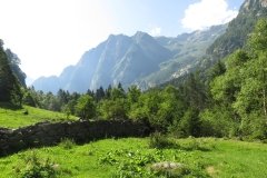 IMG_0003
