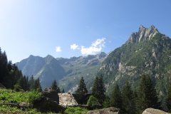 IMG_0005