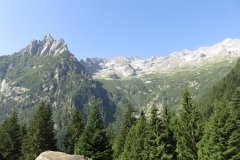 IMG_0008