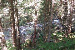 IMG_0012