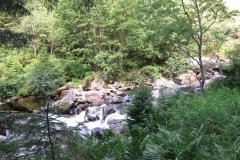 IMG_0014