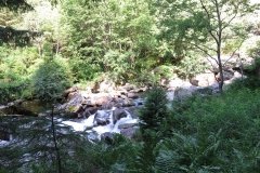IMG_0016