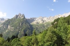 IMG_0017