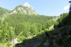 IMG_0019