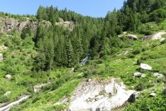IMG_0024