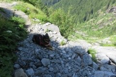 IMG_0042