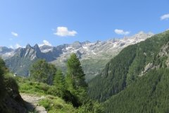IMG_0047