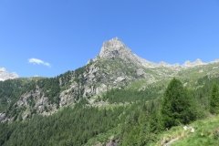 IMG_0048