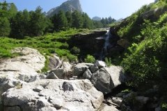 IMG_0050